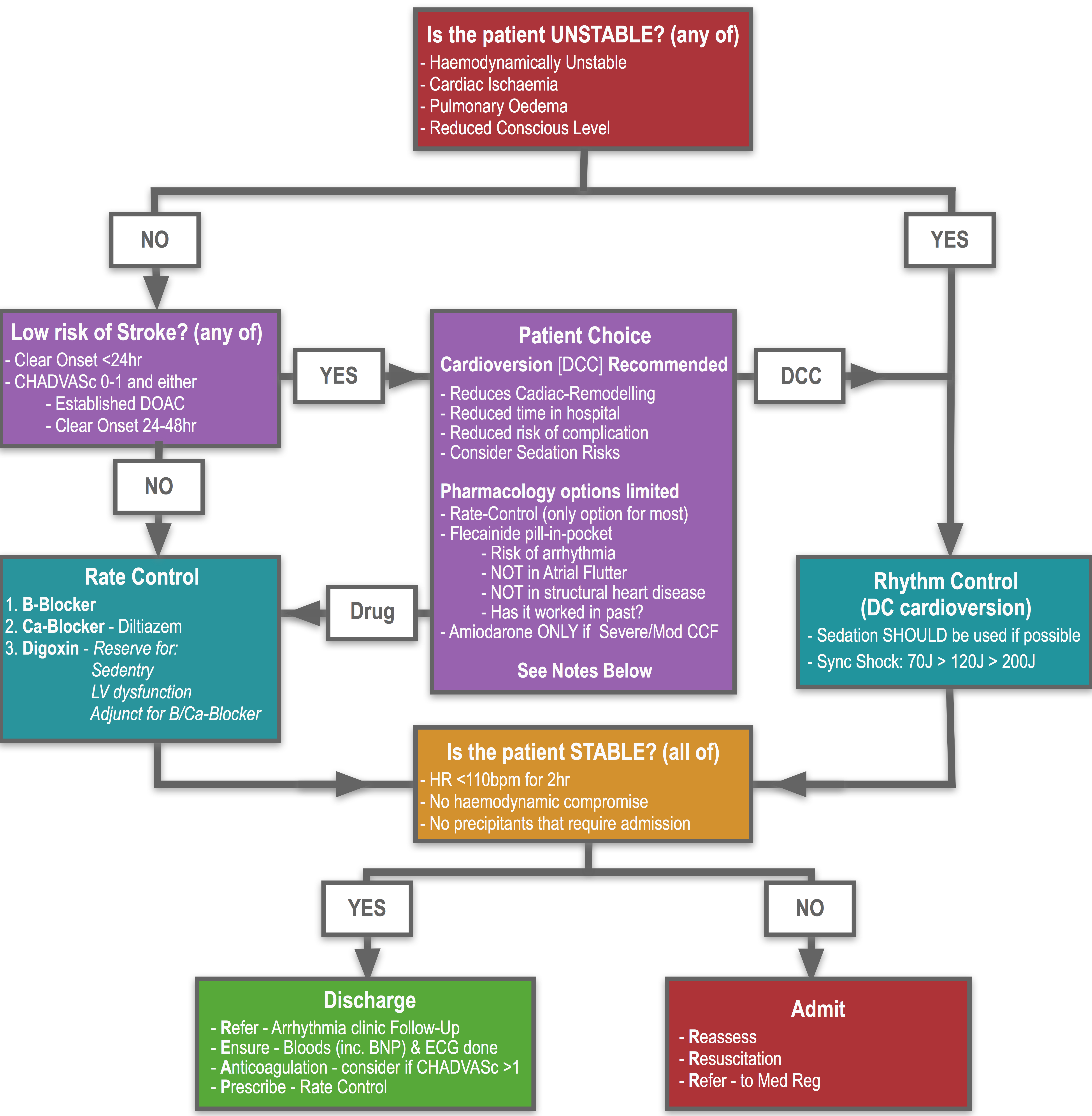 Primary Atrial Fibrillation Flutter Af Embeds Co Uk