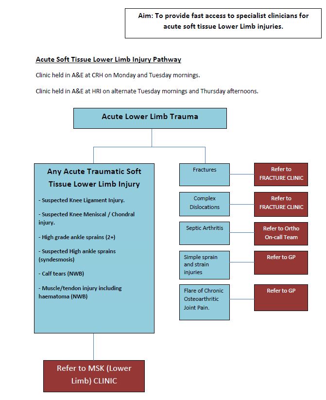 Lower Limb Ed Physio Referrals Embeds Co Uk