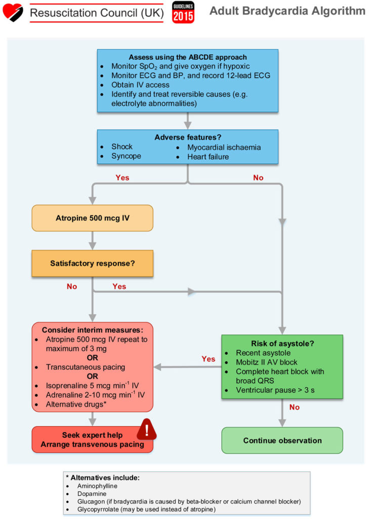 Bradycardia EMbeds.co.uk