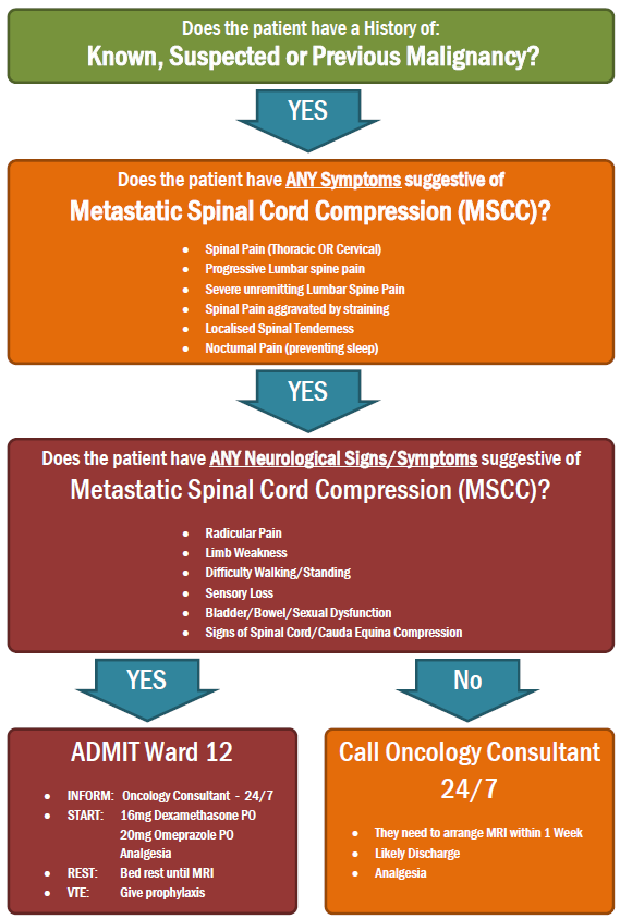 Metastatic Spinal Cord Compression (MSCC) EMbeds.co.uk