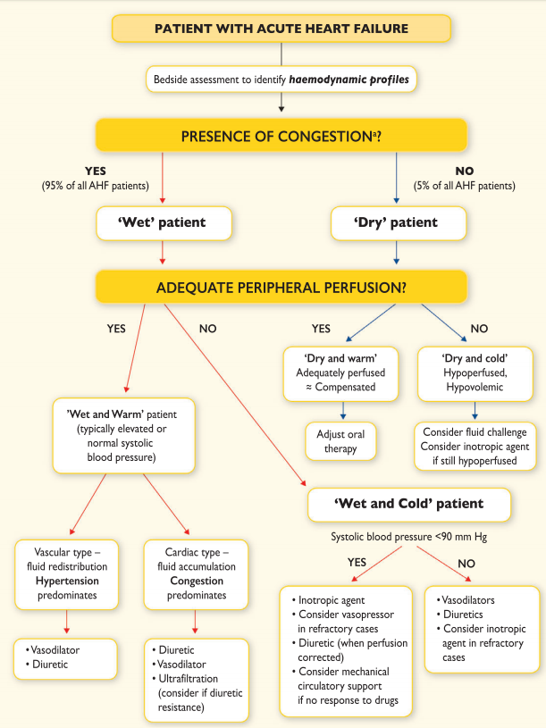 Acute Heart Failure (AHF) ESC 2016 EMbeds.co.uk
