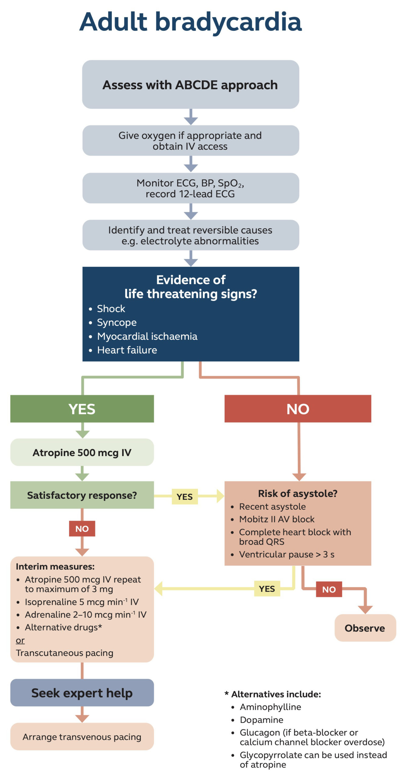 Bradycardia EMbeds co uk